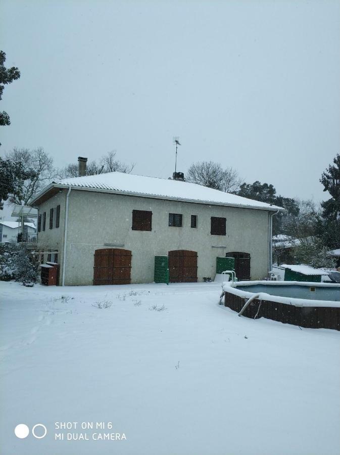 Les Bananiers Apartamento Capbreton Exterior foto